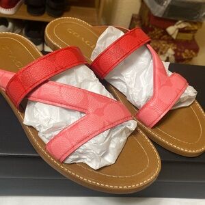 Coach Harlan Sig Sandal used a couple of times still in perfect condition.